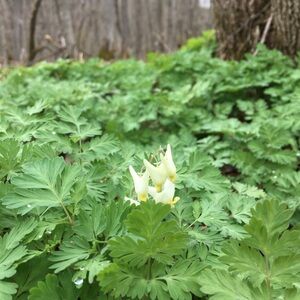 Meet your Posher, Marguerite